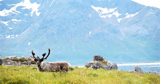 Municipalities of Troms
