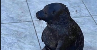 Kiwi's Read Books of 2025