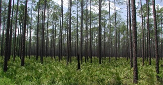 Federally Protected Areas of Georgia