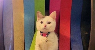 100 Movies Alicia&#39;s Seen