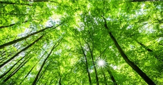 Green Things &amp; Stuff