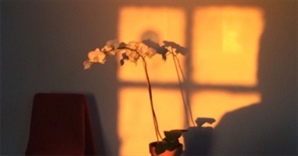 &quot;Sun&quot; Films