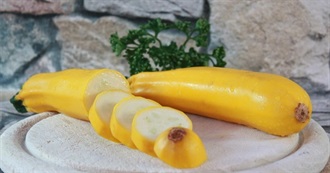 Wanna Try Foods Starting With Y