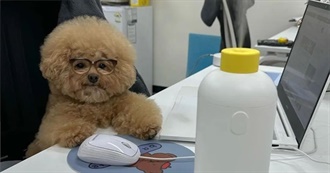 The Ballad of Jules Cloverbat