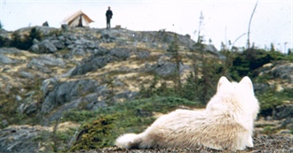 50 Drama Movies With Titles Starting With &quot;N&quot;