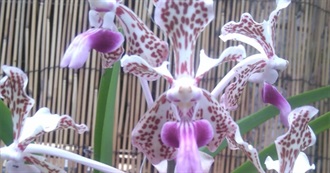 Horror Movies Tabitha  Have Seen