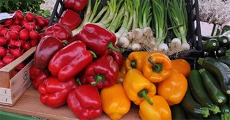 Vegan Food Pyramid Group 1 - From A to Z