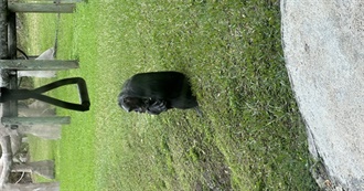 Bri&#39;s 100 Movies