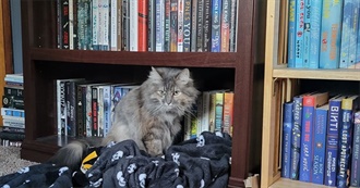 Cheyenne&#39;s Owned Books as of January 2024