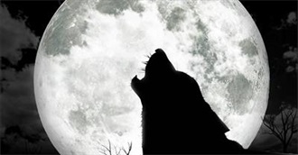 Werewolf Movie Fever