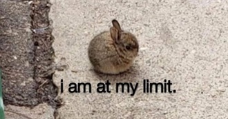 Louise&#39;s Top 100 Movies