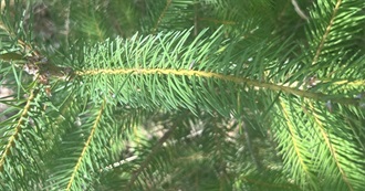 2026 Fashion Predictions