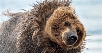 Aryeh&#39;s 5785 Reads