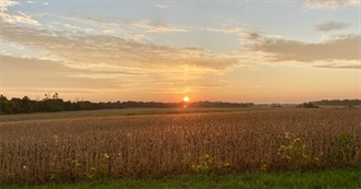 Jay&#39;s Must-Watch Movies (2024)