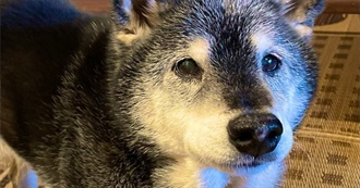 Blake&#39;s Top 100 Video Games