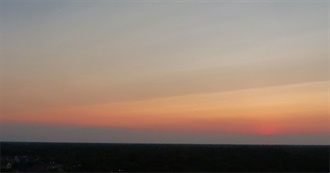 Maddie&#39;s 50 Favorite Artists/Bands