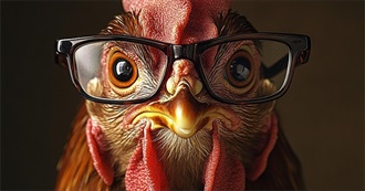 Books I've Read That You May Not Have Heard of **20