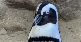 January to April 25 Movies