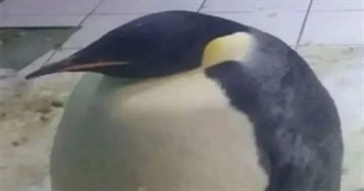 Lorenzo&#39;s List of 100 Top Movies