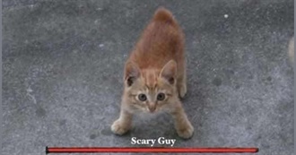 Percy&#39;s Favorite Movies