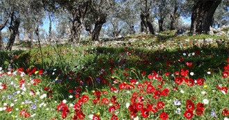 Top 100 European Wildlife Travel List