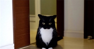 Elz&#39; Top 100 Movies