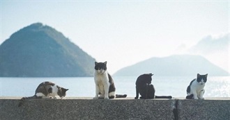 Books Cupid Can Remember Reading