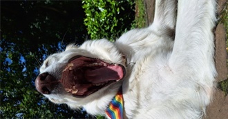 Ori&#39;s Favourite Movies