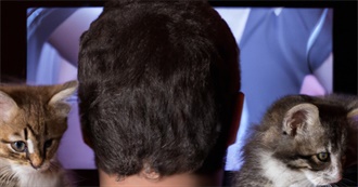 Television Shows That Sharky Has Enjoyed at Some Point in Her Life