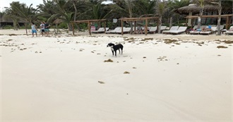 Guy&#39;s Travels of the World