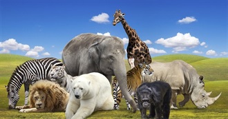 Clary&#39;s Favourite Animals