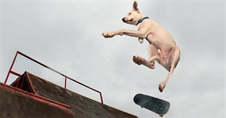 Emilyaxford&#39;s Top 100 Movies