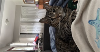 Ally&#39;s Favorite Movies