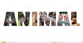 20 Animal Movies