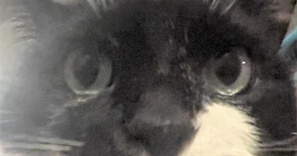 TJ&#39;s Fave Movies