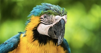 150 Places I&#39;ve Been in Latin America