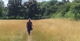 How Did Kate Get Here?