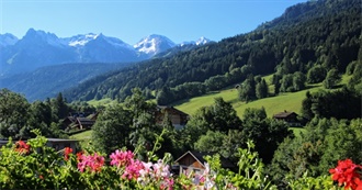 Where Did Willem Go in (2019)?