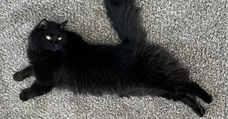 Jillian Spend Too Long on This