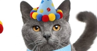 Things We Are Going to Do on Kitty&#39;s Birthday