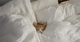 Laura&#39;s Movies That Spark Joy