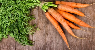 Carrot Foods and Drinks