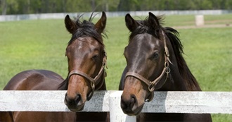 Ninjanoman Bucket List