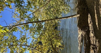 Sky&#39;s Formative Books