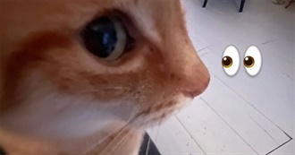 November&#39;s Favorite Movies