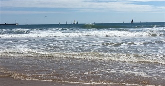 More Summer 2023 Books