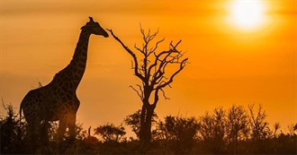 100 Things You Should Do Before You Die