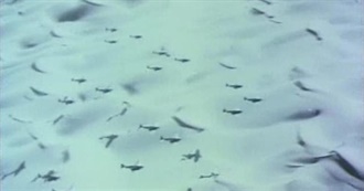 Favorite First Time Watches of 2024 (Plus Short Films)