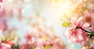 Emmy Lou&#39;s 2nd Quarter 2022 Books Read