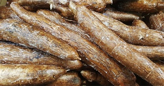 10 Foods With Cassava/Yuca Root